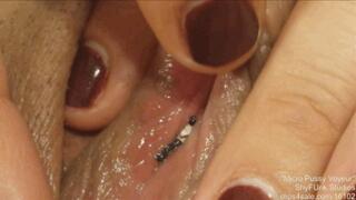 Micro Voyeur on the PUSSY