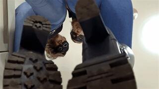 Your face is a perfect doormat for our dirty boots