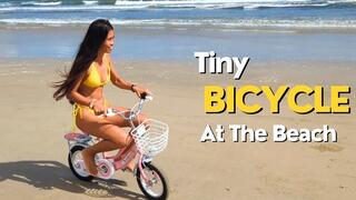 Tiny Bicycle At The Beach