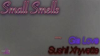 Small Smells (MP4 1080P)