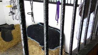 Riding Lessons - 1080