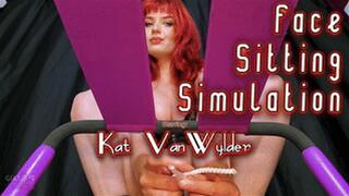 FaceSitting Simulation (MP4 1080P)