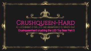 Crushing crush LED toy Bear in wooden Berkemann Sandals and nylons