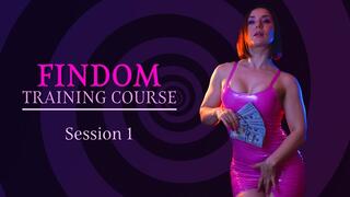 FinDom Training Course Session 1 MP3