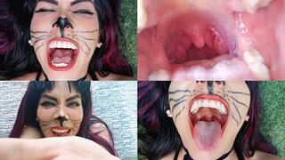 Vore sexy cat POV