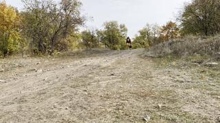 TORI AUTUMN FOREST LOOKING FOR A PLACE TO FRY MEAT ON THE FIRE_1080