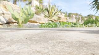 Giantess and tiny in a clear bag 4K