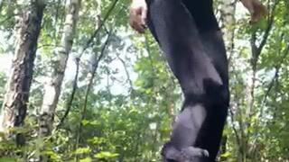 Muddy_Wellington_Domination