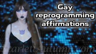 Gay reprogramming affirmations - MP4 SD 480p