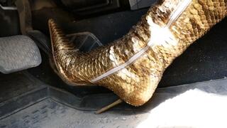 Beautiful girl in high heels driving a car and pedal pumping