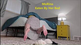 MoRina Eaten By Her Bed (mobile vers)