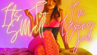 It's Too Small So I'm Leaving You