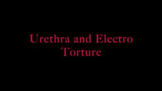 Urethra electro torment- wmv