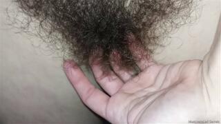 Big Beautiful Bush Showoff January 2024