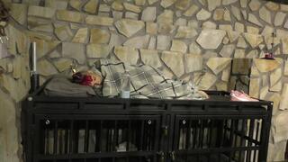 The Maya 72h Challenge - Maya Homerton - The ultimate Bondage Session - Clip 10 - On the Cage - Full Clip wmv SD