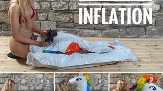 RSI006: Unicorn Inflation **4K**