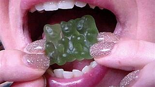 chewing bears