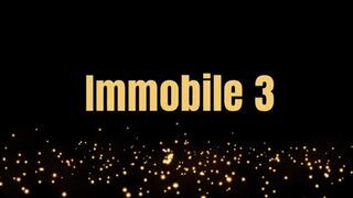 Immobile 3 *wmv*