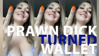 Homewrecked prawn dick turned moneyslave!