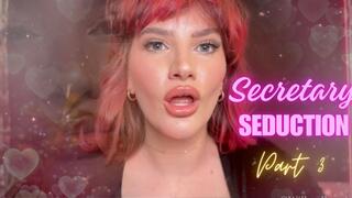 Secretary Seduction [Part 3]