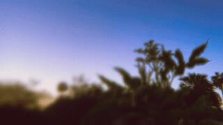 The Neighborhood Wife