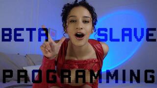 Beta Slave Programming
