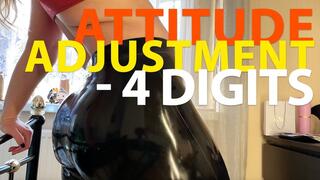 Attitude Adjustment - 4digit sends