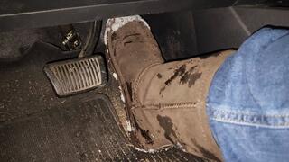 Absent-mindedly playing in Bearpaws