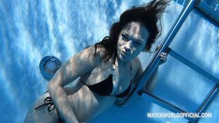 No Diving 2024 HD