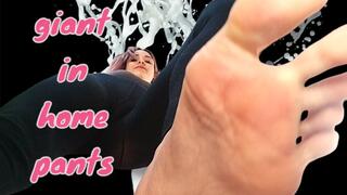 Domestic giant conquers space!