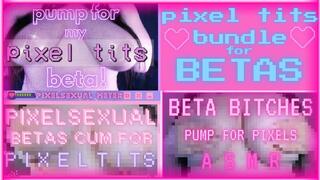 Pixel Tits Bundle for Betas (1080 MP4)