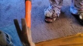 Ballbusting rupture attempt