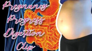 10-11 Week Pregnancy Progress Digestion Clip