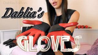 Gloves Collection Try On