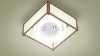 Sexy bitch walks in on her stepbrother taking a shower and sucks his big dick