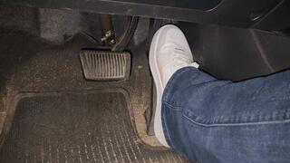 Morning drive in Pumas