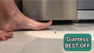 UNAWARE GIANTESS WITH BIG FEET BEST OFF - MP4 HD discounted price