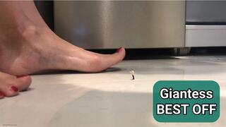 UNAWARE GIANTESS WITH BIG FEET BEST OFF - MP4 MOB discounted price