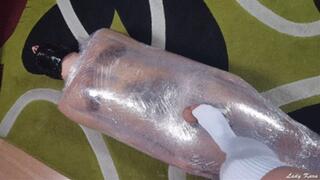 Toy for My Pet - Crystal Tube (1080HD)