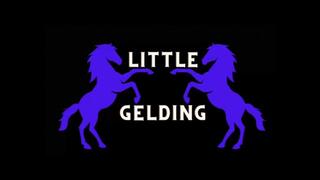 Lilith Taurean Takes Your Manhood - My Little Gelding - Audio Only