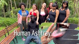 Six Queens and a Human Ashtray