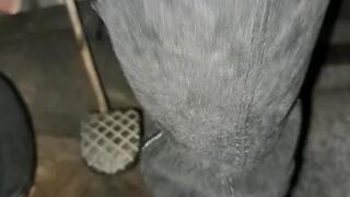 Sonja's daily struggles (hidden camera below the driver's seat)