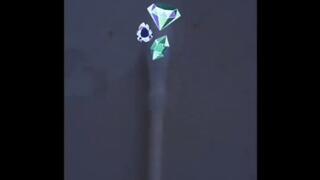 FEEDING TIME 2 27 24 AM BRUNCH Lunch