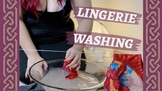 POV: Mistress Humiliates You and Teaches You How to Clean Lingerie [Part 2 of 2]