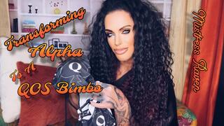 TRANSFORMING ALPHA TO A QOS BIMBO