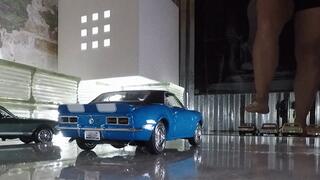 Terri Varity Pack Car Crushing