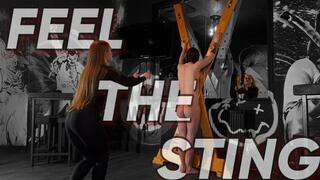 FEEL THE STING (480p)