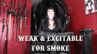 Weak and Excitable for Smoke from Maya Sinstress (mov)