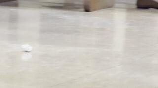 Candid Extreme Dangling of Flats at library