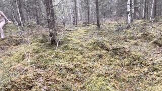 Naked and lost in the forest in high heels